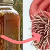 Poznaj przepis na naturalny i skuteczny antybiotyk. Wzmacnia odporność i zwalcza choroby