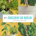 DIY 5 pomysłów na proste znaczniki do roślin