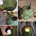Naturalny lampion :-)