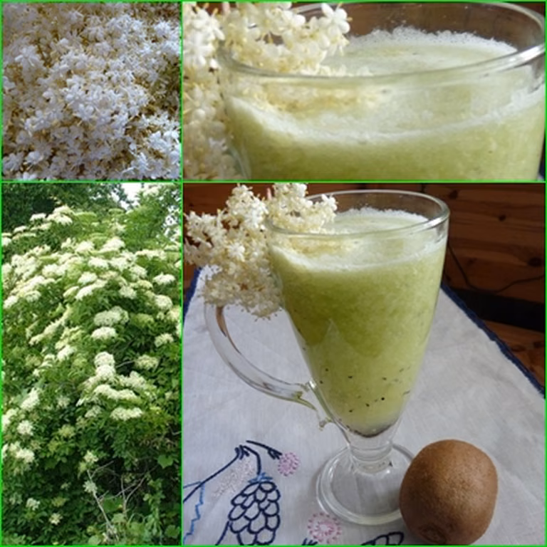Smoothie z dzikiego bzu i kiwi