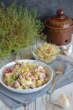 Sałatka gyros-kebab w wersji fit