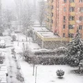 Ekstremalna pogoda w Europie! Burze śnieżne i siarczysty mróz nadciągają do Polski!