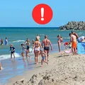 Groźna bakteria w Morzu Bałtyckim! Eksperci ostrzegają i publikują listę objawów