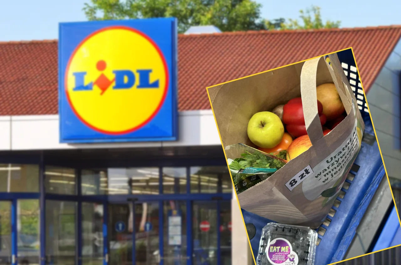W Lidlu pojawiły się tajemnicze torby niespodzianki za 8 zł! Nowa akcja "Uratuj MIX" zachwyciła klientów