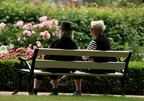 Do ZUS wpłynęło milion wniosków o nowe świadczenie! Już jutro startują wypłaty