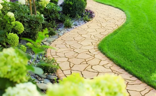 Design inspirowany naturą