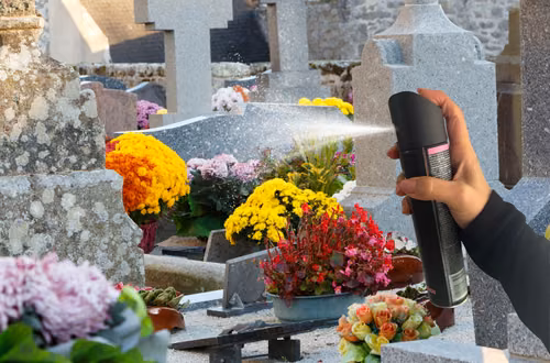 Weź lakier do włosów na cmentarz! Genialny patent, który pokazała mi babcia