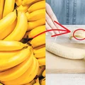 13 zastosowań skórek od banana – od tej pory już nigdy ich nie wyrzucisz!