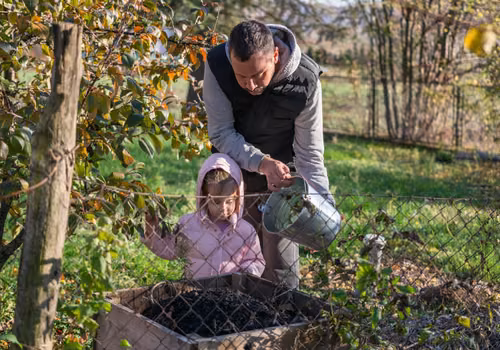 Uwaga właściciele ogródków - Urzędnicy ruszyli z kontrolami! Mogą sprawdzić posesję i cofnąć ulgę