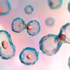 To badanie może uratować Ci życie. Co wykrywa cytologia?
