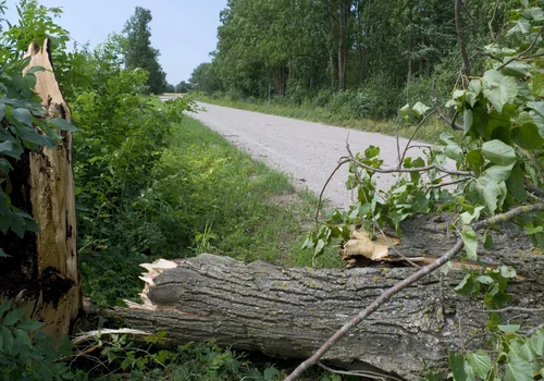 Do Polski nadchodzi niebezpieczeństwo pogodowe! Za kilka godzin ogłoszą alerty!