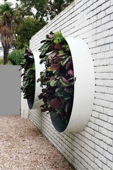Rośliny w murze