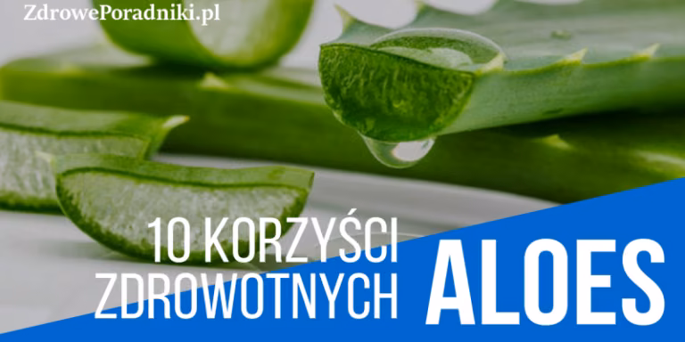 10 najlepszych korzyści z aloesu