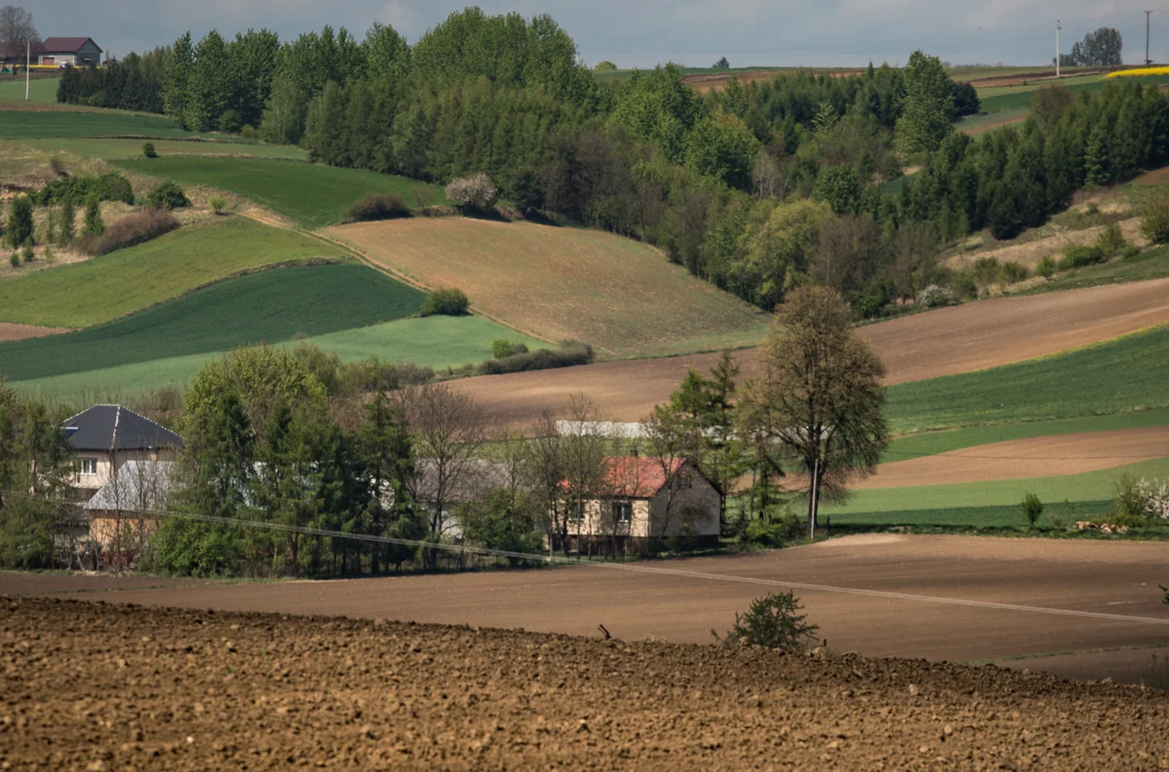 Rewolucyjne zmiany w świadczeniach dla sołtysów! Nowe prawo przyspiesza ważny dodatek