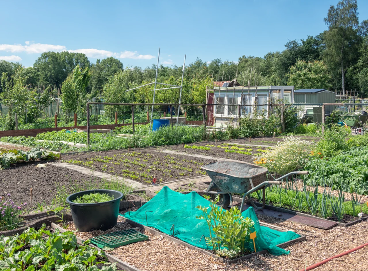 Właściciele działek często tego nie wiedzą! Za szopę możesz zapłacić nawet 10 tys. zł!