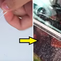 Jak otworzyć auto, gdy zatrzaśniesz kluczyki? Skuteczna metoda