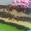 Tort makowy z masą budyniową
