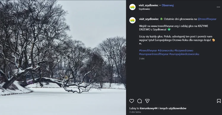 Zdjęcie Ostatnie godziny głosowania! Krzywe Drzewo z Szydłowca walczy o tytuł Europejskiego Drzewa Roku 2026 #2