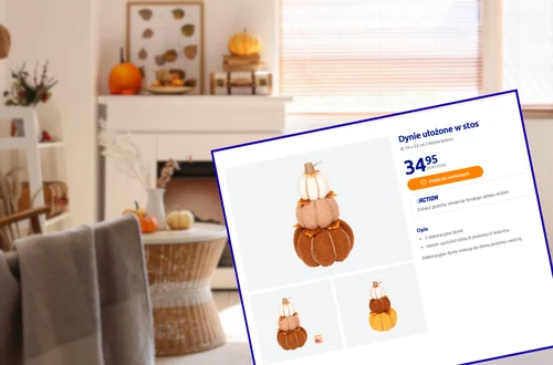 Te dynie z Action będą hitem jesieni do salonu i na ganek! Zestaw 3 sztuk za 34 zł, a mieszkanie jak zaczarowana kraina