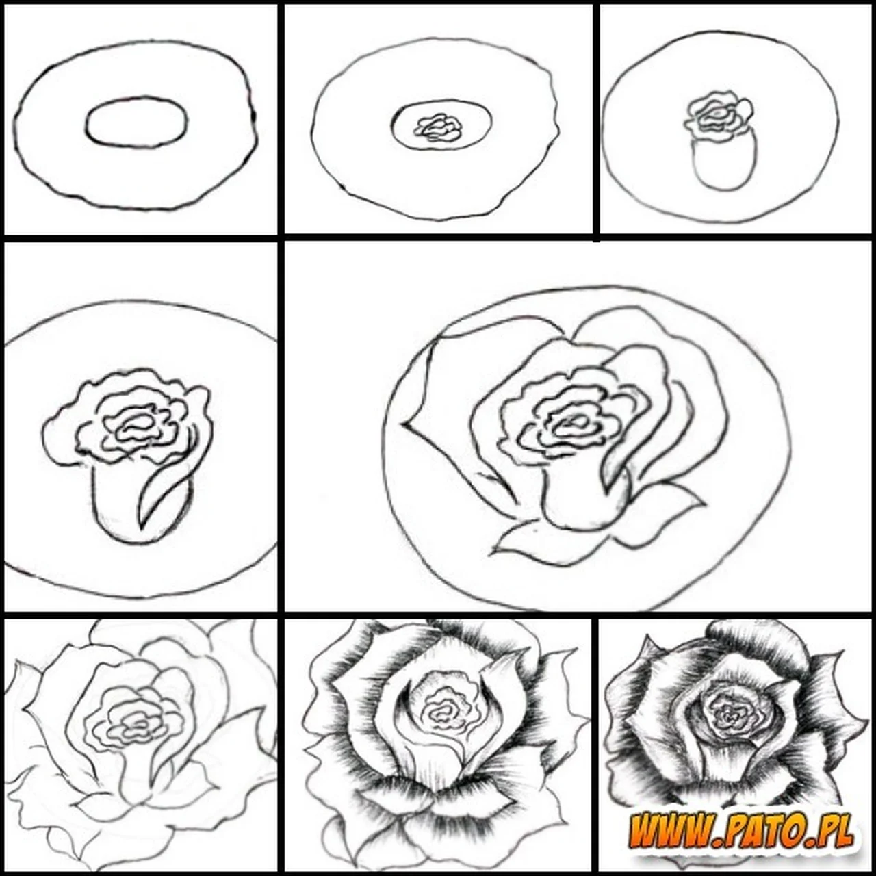 Jak narysować różę?