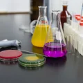 UE wypowiada wojnę "wiecznym chemikaliom"! Tę zmianę odczujemy wszyscy!