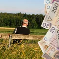 48 tysięcy złotych emerytury co miesiąc! ZUS wyjaśnia, skąd taka rekordowa kwota