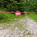 Wjedziesz do lasu - zostaniesz ukarany grzywną. Ile wynosi mandat?