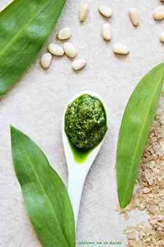 Pesto z czosnku niedźwiedziego