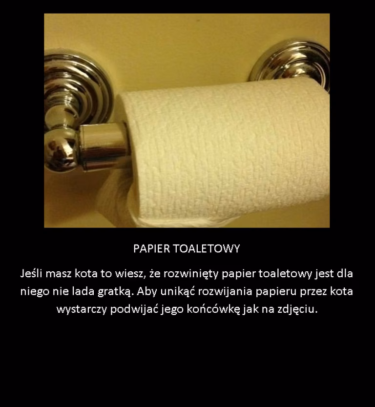 Praktyczny pomysł dla właścicieli kotów