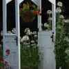 Pergola z drzwi