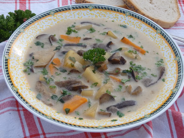 Zupa grzybowa ze świezych grzybów z ziemniakami