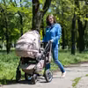 Nowy wniosek o 800 plus w 2026 roku tylko w tym terminie! Inaczej część świadczenia przepadnie