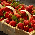 Truskawki z bazarków bezpieczniejsze niż z marketów!? Wyniki badań zaskakują!
