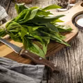 Pesto z czosnku niedźwiedziego- jak je zrobić i dlaczego warto je jeść?