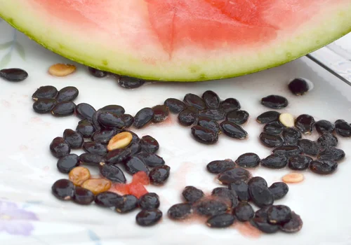 Zjadasz arbuza z pestkami, to musisz o tym wiedzieć! Oto, co się dzieje w Twoim organizmie