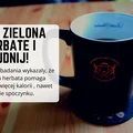 Pij zieloną herbatę i chudnij