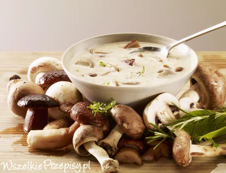 Zupa ze świeżych grzybów