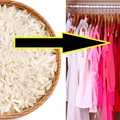 Włóż miskę ryżu do swojej szafy z ubraniami! Efekt cię zaskoczy