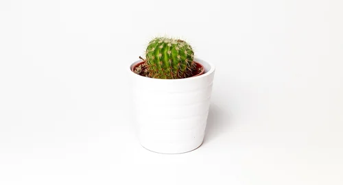 Dlaczego minimalizm nie jest dla mnie?