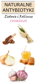 Naturalne Antybiotyki – Ziołowe i Roślinne