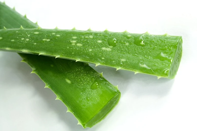 Jak stosować aloes na włosy?