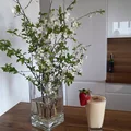SMOOTHIE IDEALNE NA II ŚNIADANIE