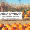 Farma dyniowa