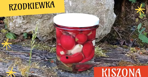 Kiszona rzodkiewka