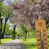 Nadchodzi fala ciepła, której nikt się nie spodziewał: IMGW zapowiada nawet 25°C!
