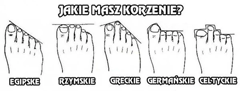 Zobacz jakie masz korzenie