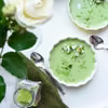 panna cotta z japońską herbatą matcha