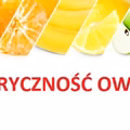ZOBACZ TABELĘ KALORYCZNOŚCI OWOCÓW!