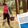 GIS wydał ważny komunikat z ostrzeżeniem! Mimo zakazu sprzedaż kwitnie, a skutki mogą być tragiczne
