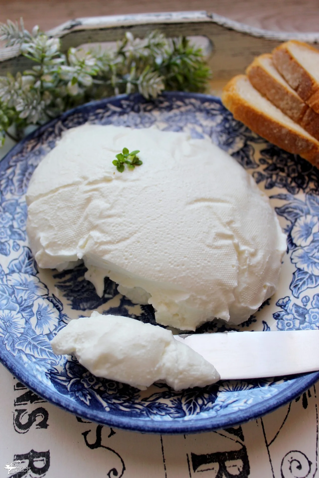 Labneh – domowy ser z jogurtów greckich